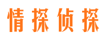 内江调查公司